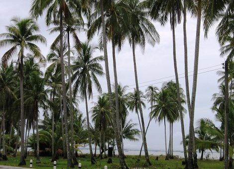 Ко Сукорн (KoSukorn) – маленький, не самый посещаемый остров на юге Таиланда с первозданной красотой природы.  