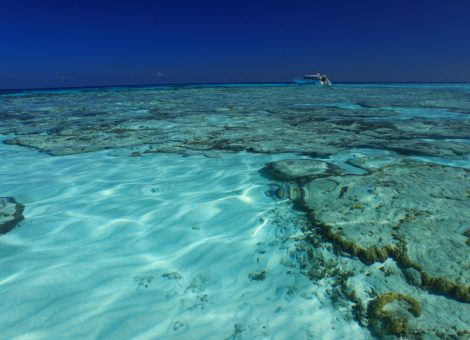 Симиланские острова по праву входят в десятку красивейших мест в мире! Чтобы полностью насладиться красотой этих мест вам просто необходим двухдневный тур!