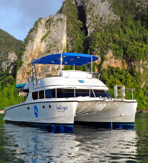 «Blue World» моторный катамаран 1 «Blue World» моторный катамаран