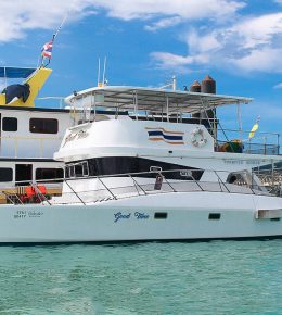 «goodtime» МОТОРНЫЙ КАТАМАРАН