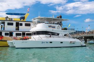 «goodtime» МОТОРНЫЙ КАТАМАРАН