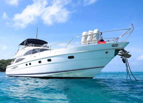 «princess 65» Моторная яхта