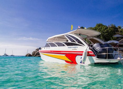 «yamela» спидбот