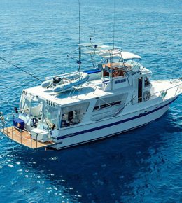 «solita» рыбацкая лодка