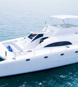 «seaexplorer» Моторный катамаран