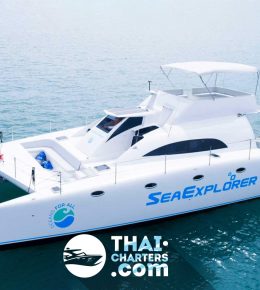 «seaexplorer » Моторный катамаран