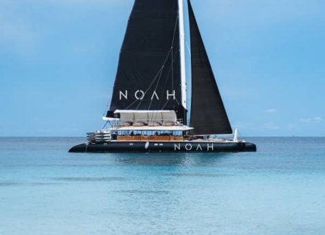 «noah» парусный катамаран