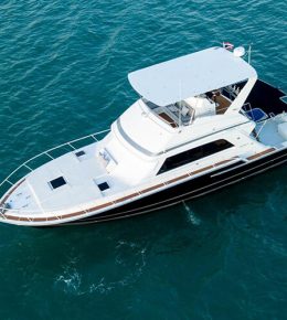 «bertram 50 Ft» моторная яхта