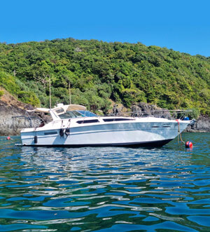 «corsica 40ft» скоростной катер