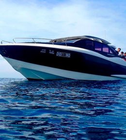 Аренда катера на Пхукете Domino