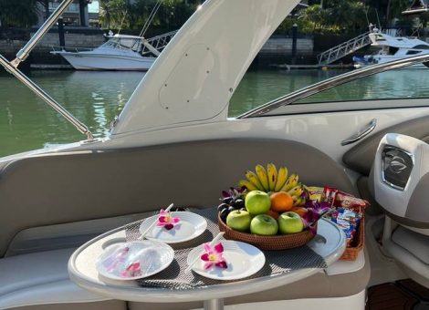 Power Catamaran For Rent In Phuket «estelle»