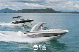 Power Catamaran For Rent In Phuket «estelle»