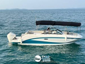 Rent A Speedboat In Phuket «searay Seascape 8»