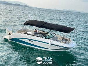 Rent A Speedboat In Phuket «searay Seascape 8»