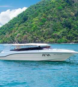 «ayva 39ft» Аренда катера на Пхукете
