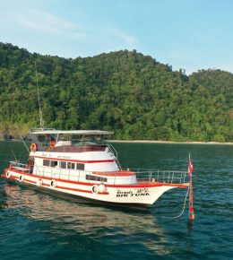 «big Tuna» Аренда рыбацкой лодки на Пхукете