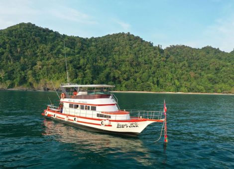 «big Tuna» Аренда рыбацкой лодки на Пхукете