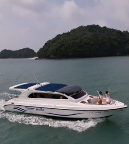 «sunny Smile 38ft» Аренда спидбота на Пхукете