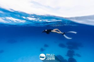 «hug» Аренда моторной лодки для дайвинга на Пхукете