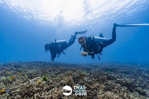 «hug» Аренда моторной лодки для дайвинга на Пхукете