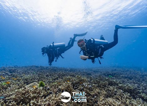«hug» Аренда моторной лодки для дайвинга на Пхукете