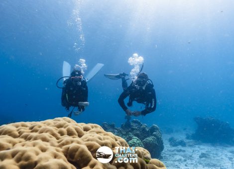 «hug» Аренда моторной лодки для дайвинга на Пхукете