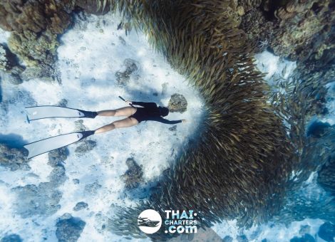 «hug» Аренда моторной лодки для дайвинга на Пхукете