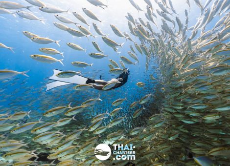 «hug» Аренда моторной лодки для дайвинга на Пхукете