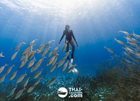 «hug» Аренда моторной лодки для дайвинга на Пхукете