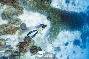 «hug» Аренда моторной лодки для дайвинга на Пхукете