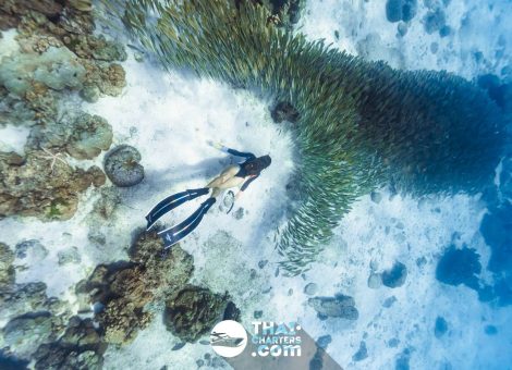 «hug» Аренда моторной лодки для дайвинга на Пхукете