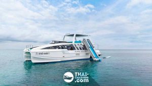 «dolphin 50ft» Аренда моторного катамарана на Пхукете